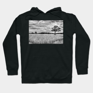 St James' Church, Louth, Behind The Trees, Lincolnshire, UK Hoodie